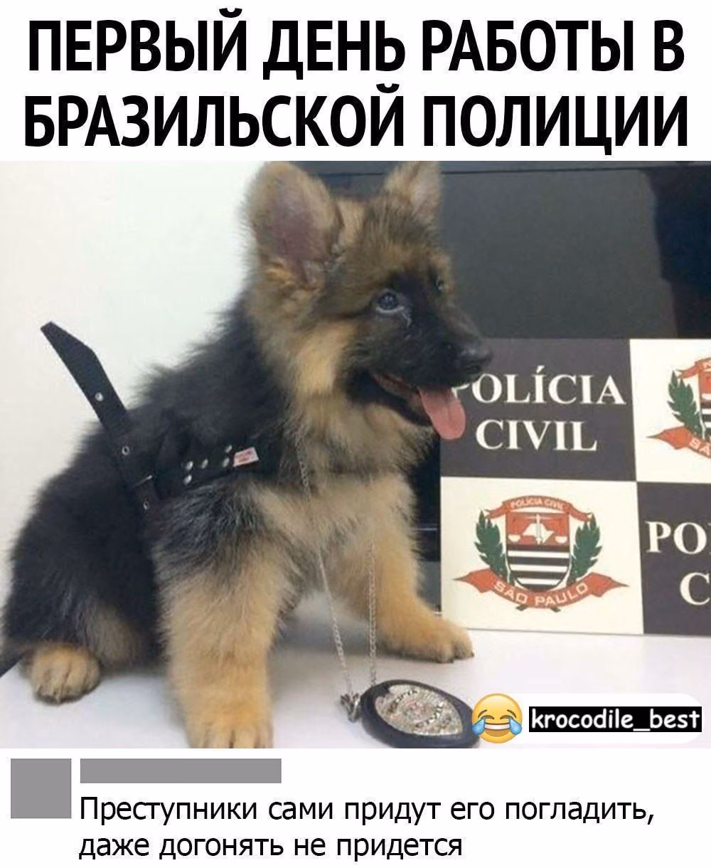 6b828cc978f161c2df439f46cf89d952.jpg