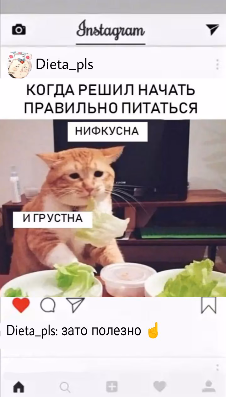 6bae9c8d1368c61036e9f5a43a551e6a.jpg