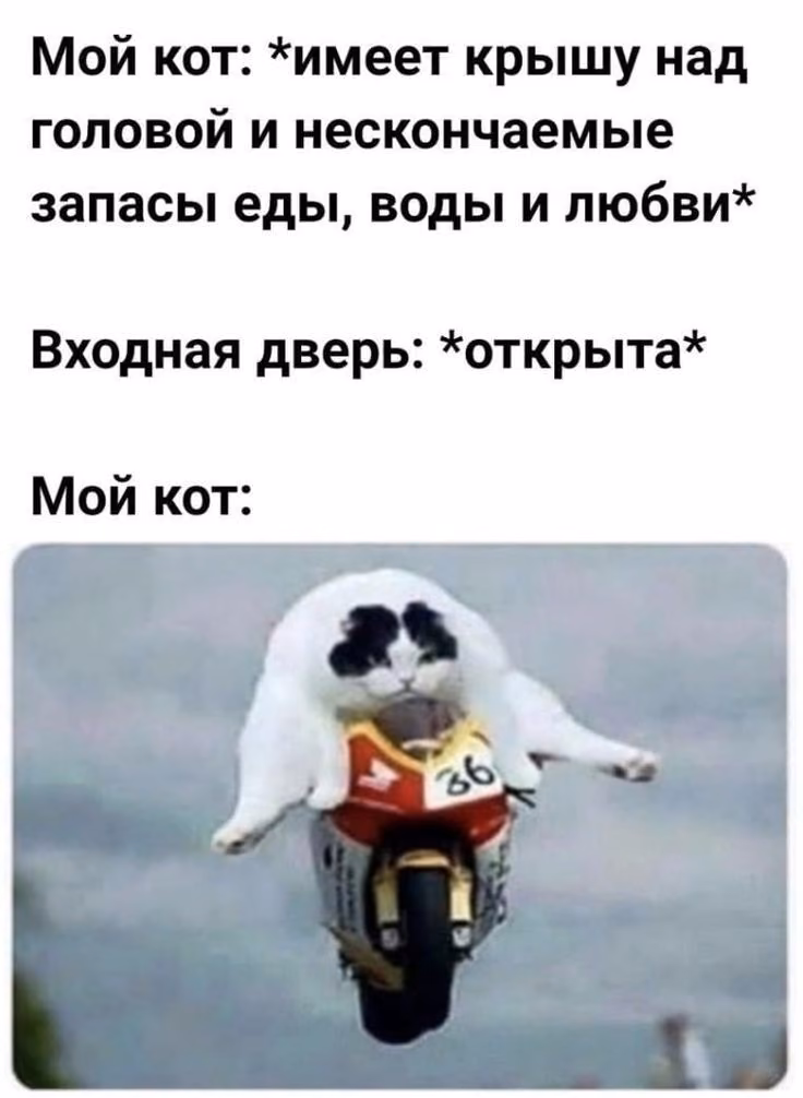 6bc30ad86021cc1ee4f3974afa0cef7f.avif