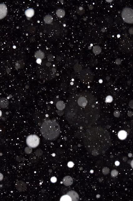 6bc5e680a4d84196946a03798d21db5e.jpg