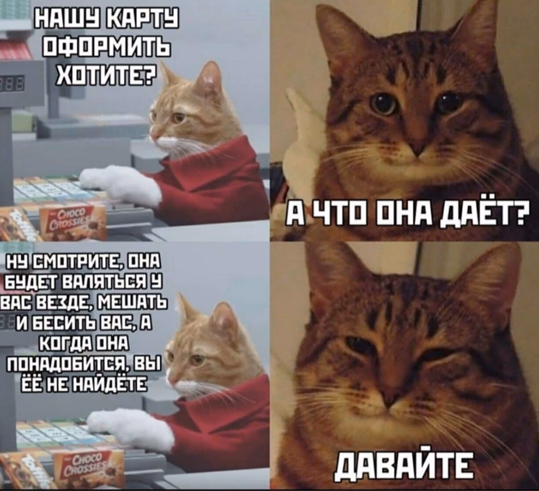 6bcdfb8099700130afafe8d514d6df65.avif