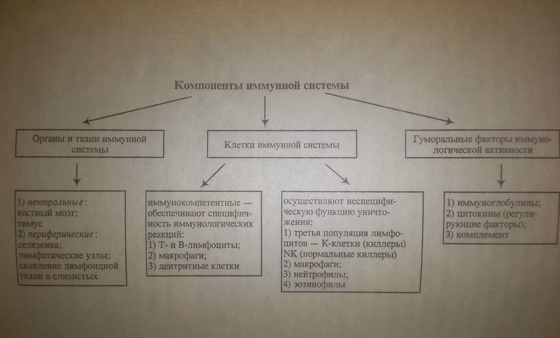 6bf0b8a62c89c6899ca8d62461d893b3.avif