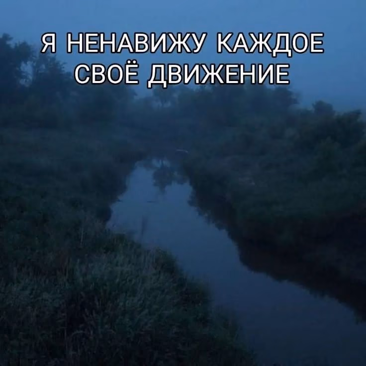 6bf14fc298c7cbf1e9e4fcc8ac6f0b98.jpg
