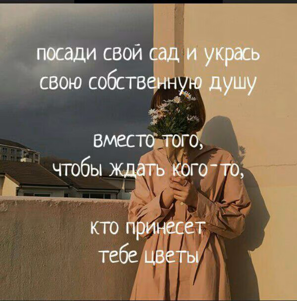 6bf37dddac2a32572ce8c2854a8ccf3c.jpg