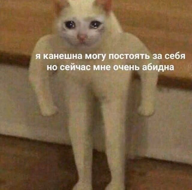 6bfd6f36c4ee64a5180e68233066b5a9.jpg