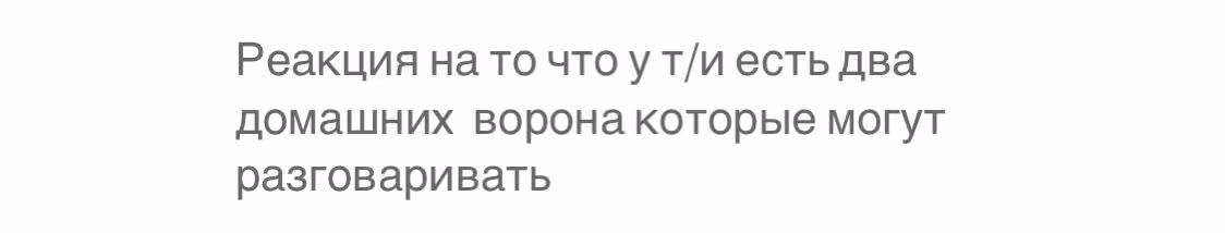 6bfef969b56be88525186cd498f03369.avif