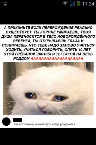 6c03186d018db6ed5c5801db38c89598.jpg