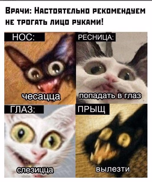 6c1817c8058e181c8516d14cfee0162f.avif