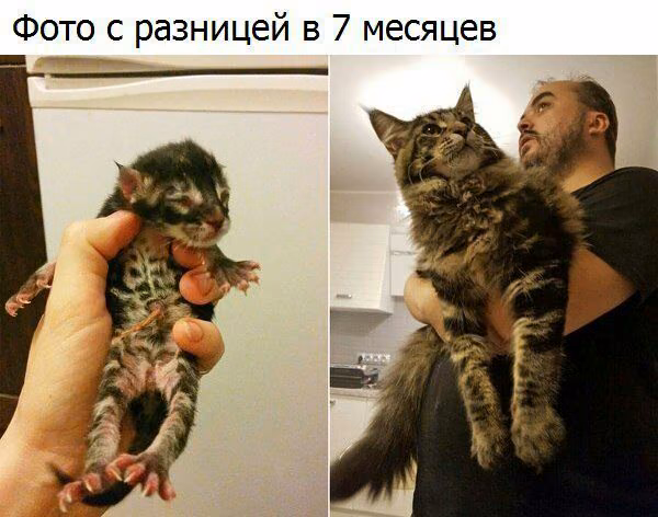 6c1c2e9ee3d6629985c2c73c00201023.jpg