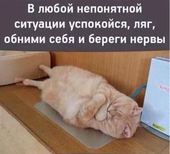6c2f09b21c3488a3fc38f6eab165e873.jpg