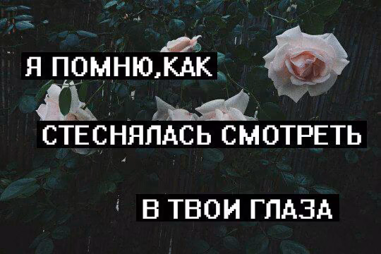 6c3cd9ef43471b0e94219f8c6edbd7e6.avif
