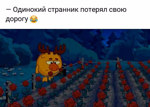 6c3f264dd40115ebbf7752885fd54492.jpg