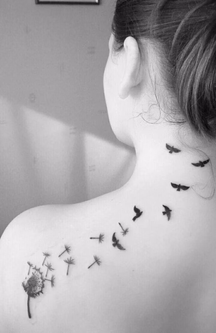 6c52d76612f4212b0dde32e0e40a4300.avif