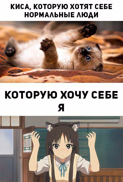 6c5a4491b911ec03cc05a7eb52b1ccd4.avif