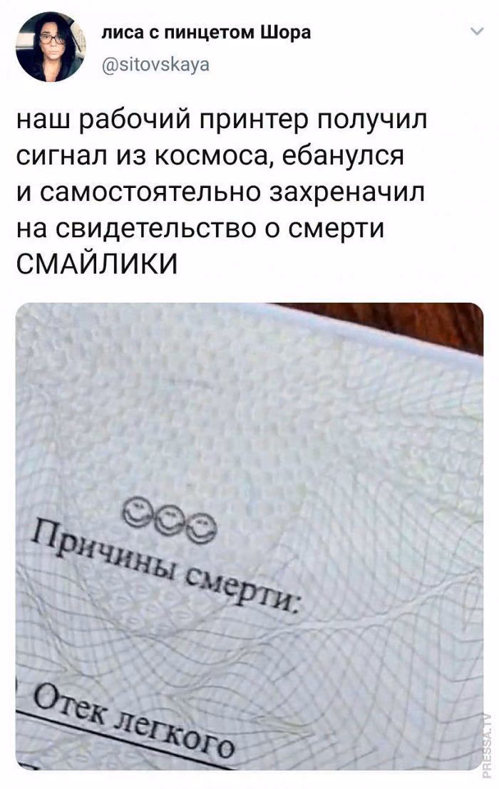 6c5e28ab85d628c5e4c2ee8fa46dba83.avif