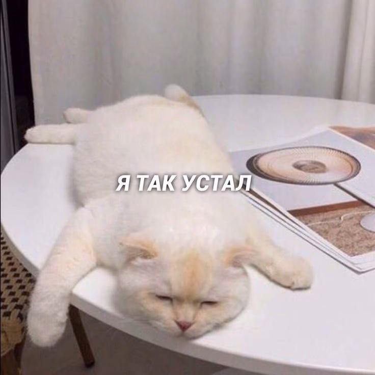 6c5e2b8119f82d0df727bc396269780a.avif