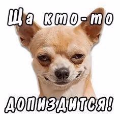 6c646322b4b16329a5cbf79a64b7141b.jpg