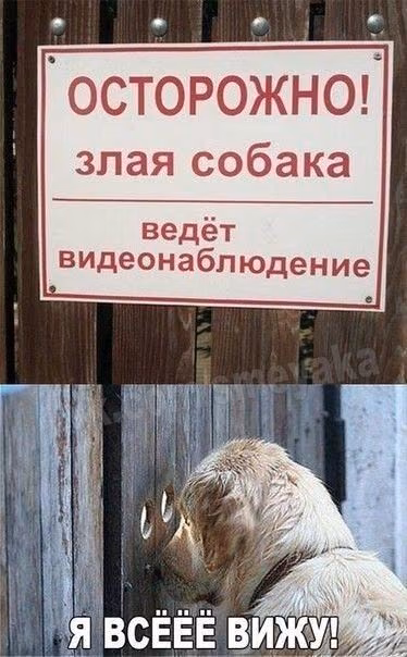 6c78c74272949164c303e2895a3dc5b8.jpg