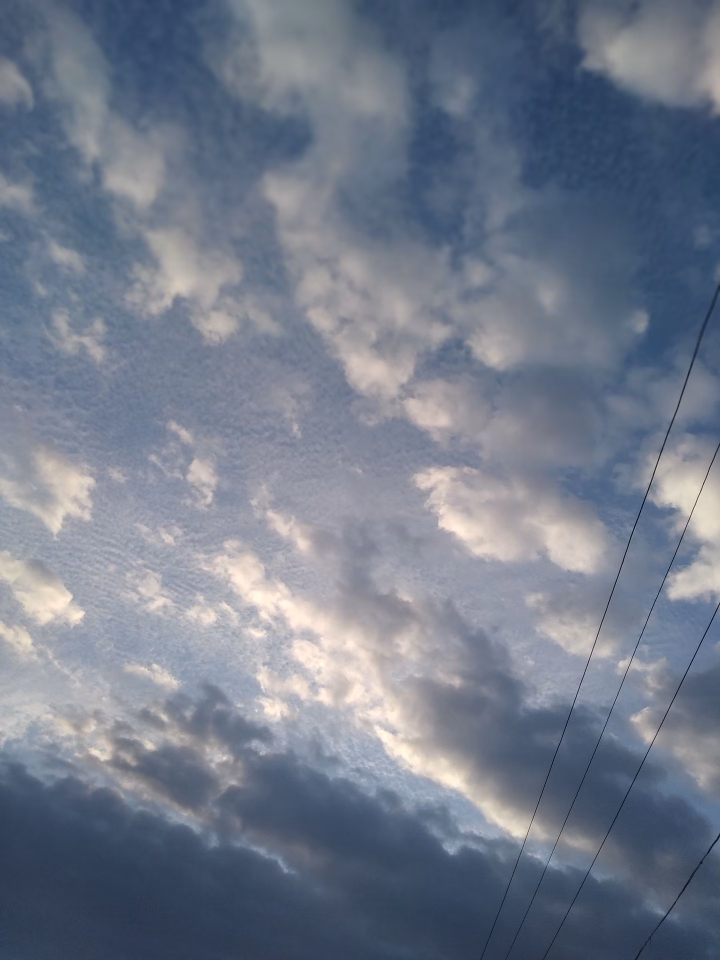 6c7903ca8dee61ba62e8446271b116b1.jpg