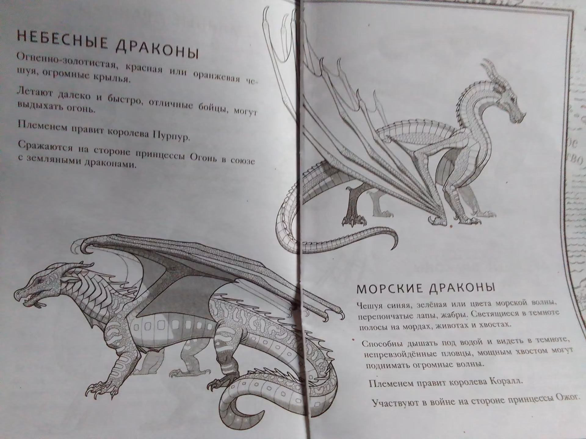 6c9a593fa8ab5634e10152bd23e6141f.avif