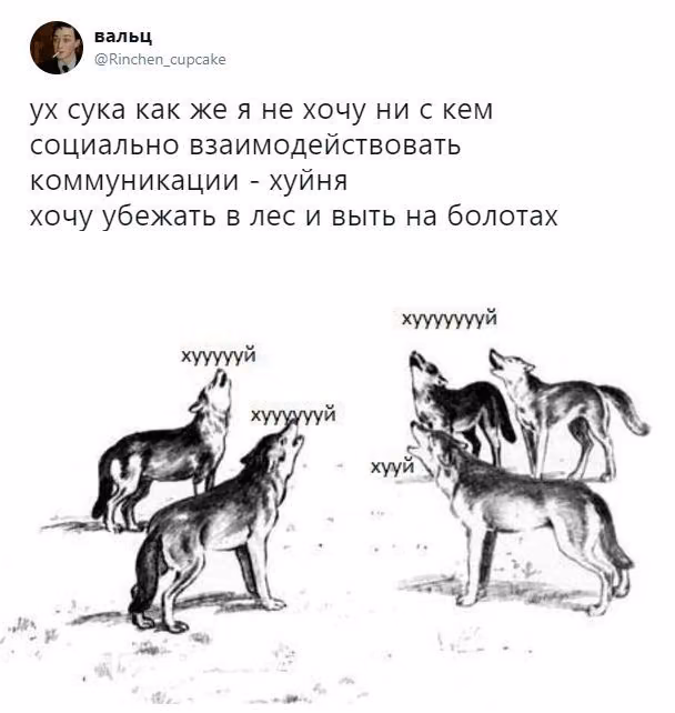 6c9d831ab84fb9b91df9105d55b48c33.avif