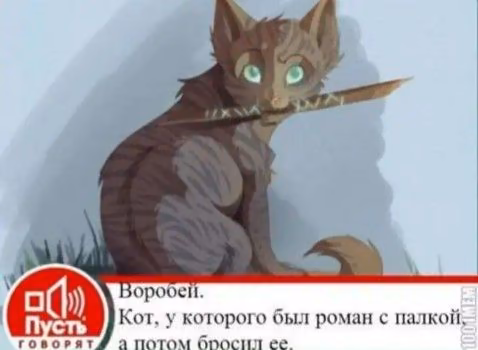 6ca5748c3dd827668b445e6ad8aebd6a.avif
