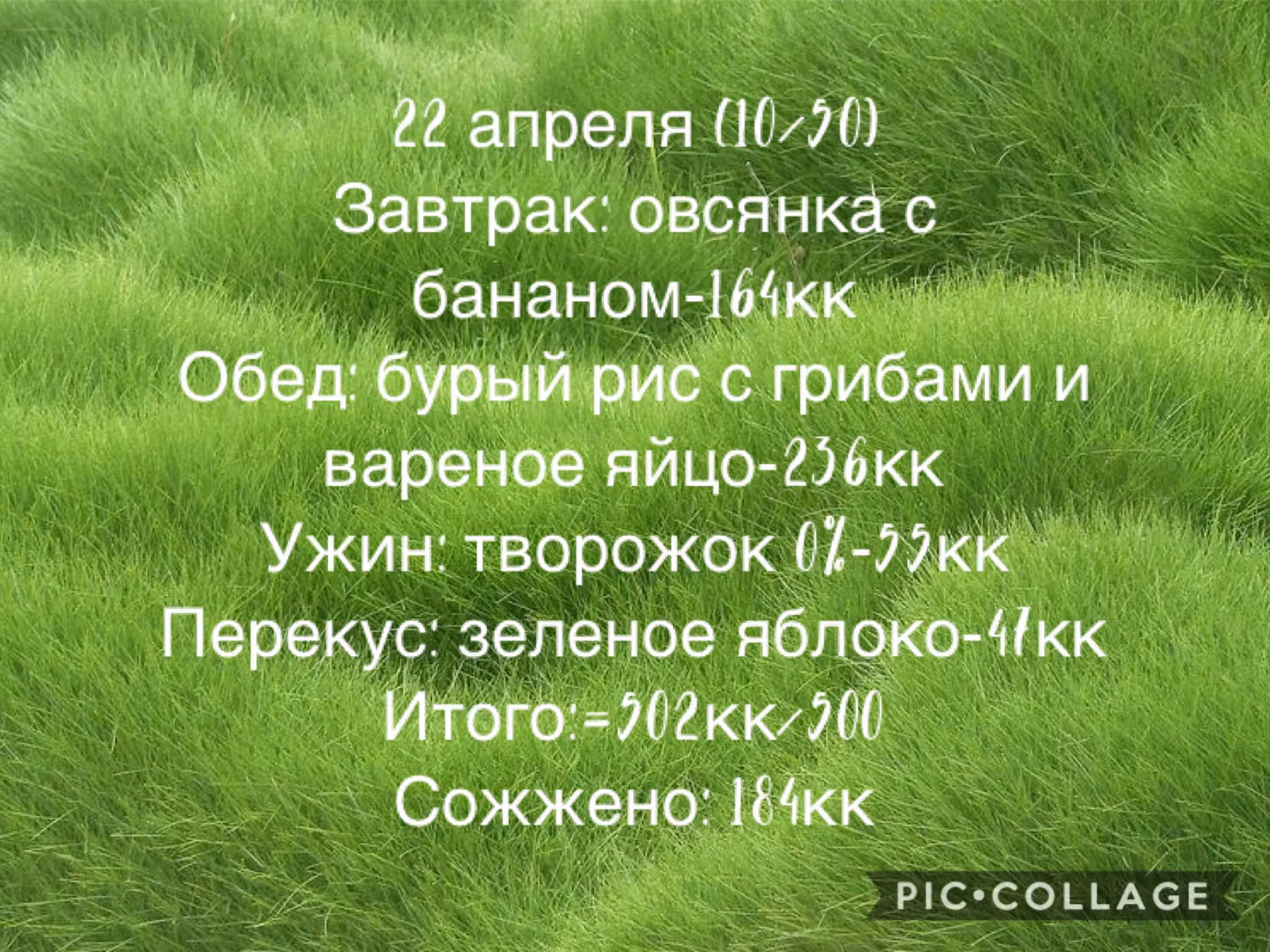 6ca6c817ffbaabe8542aeaede63f0d8d.jpg