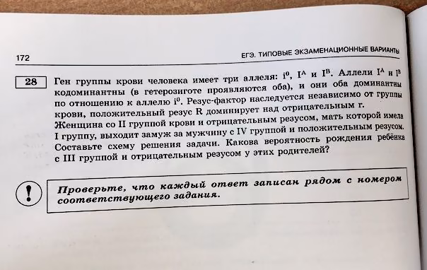 6ca8507561efc82bcdee1ae96d7ee997.jpg