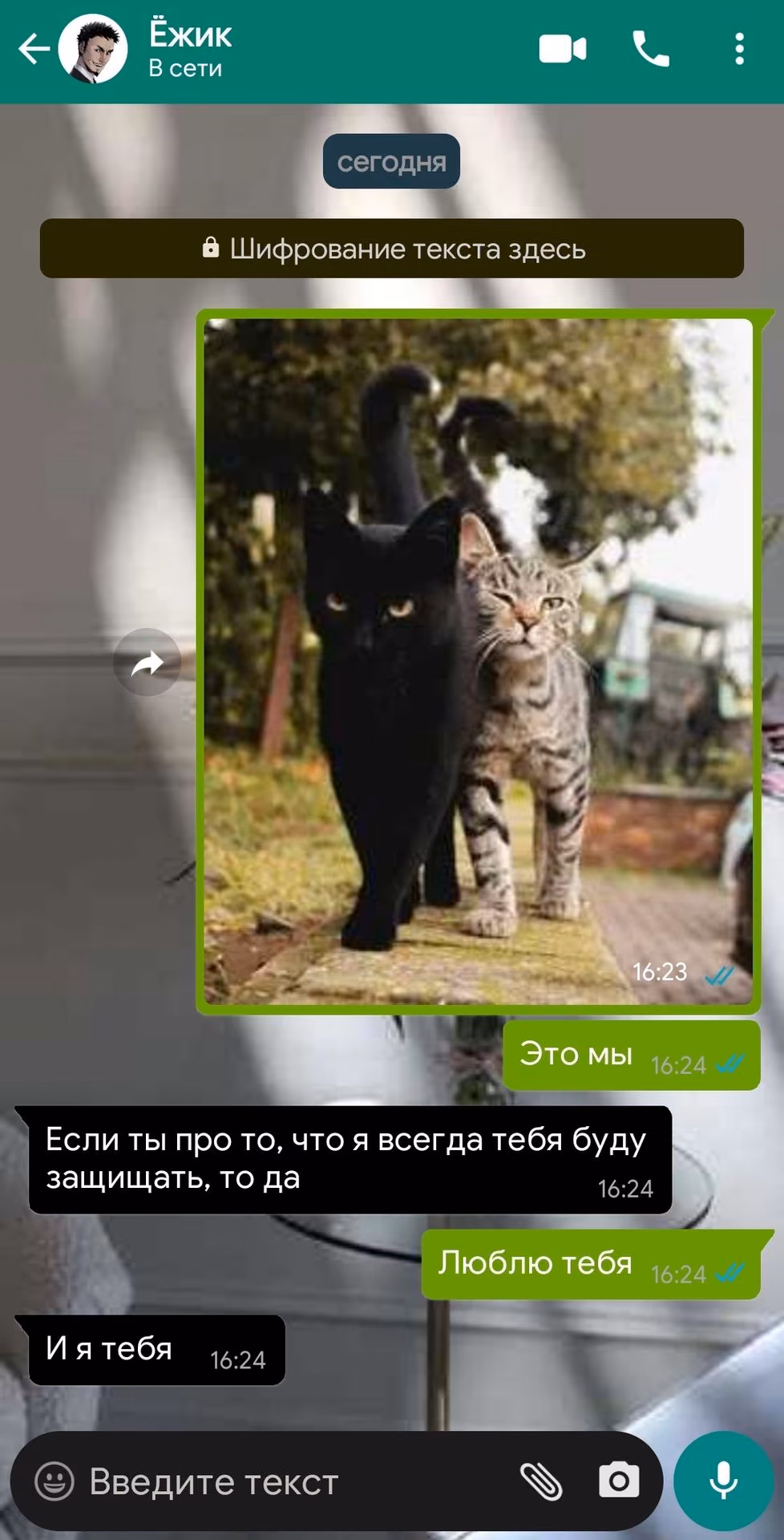 6cca941a8ce710523bf6efa7797dbee2.avif