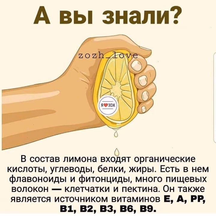 6ccd76ce5efa3b194721b1cf03fbbc52.avif
