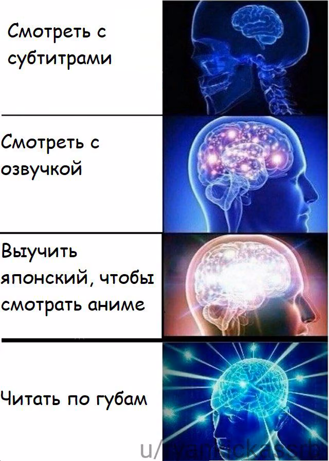 6ce2e076af57be3cb0c9e3450e02d5af.jpg