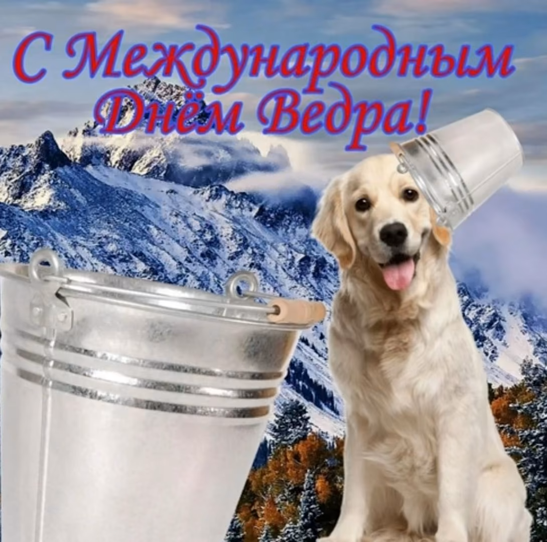 6cede2953985761ede64d65d45b75b4d.jpg