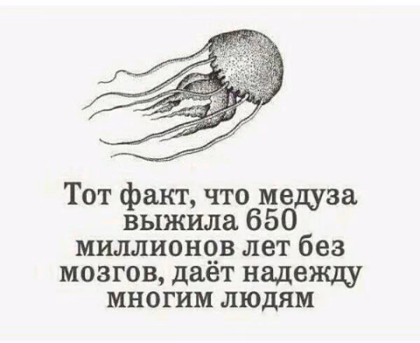 6ceef9aeab937274c8e68d9987d60805.jpg