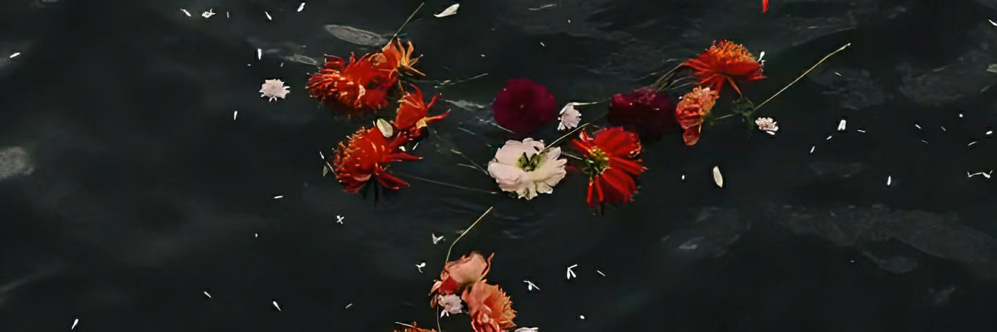 6cfbd750409773b0d772b6382a167a75.avif