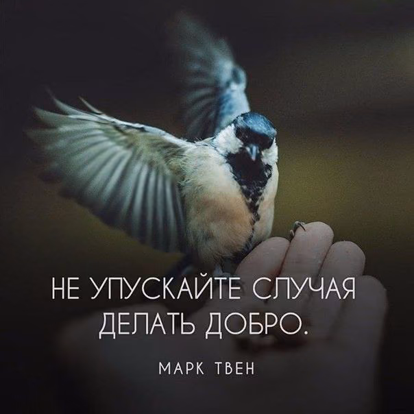 6d018d51f87034ceae9c0af1e92a6639.jpg
