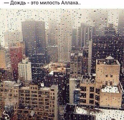 6d0e4bfae67fe5653561c3f20e6a9e45.jpg