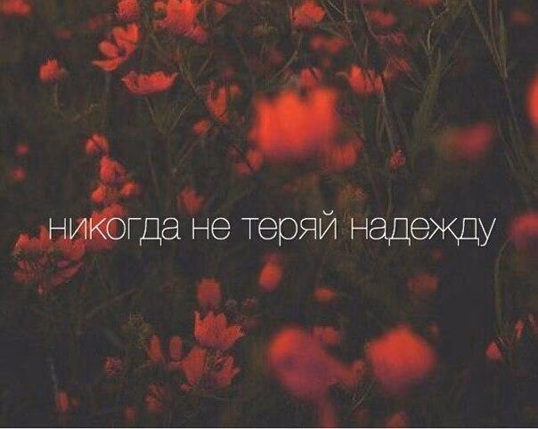 6d1eba020e711a5cbe777bfec5a0e06d.jpg