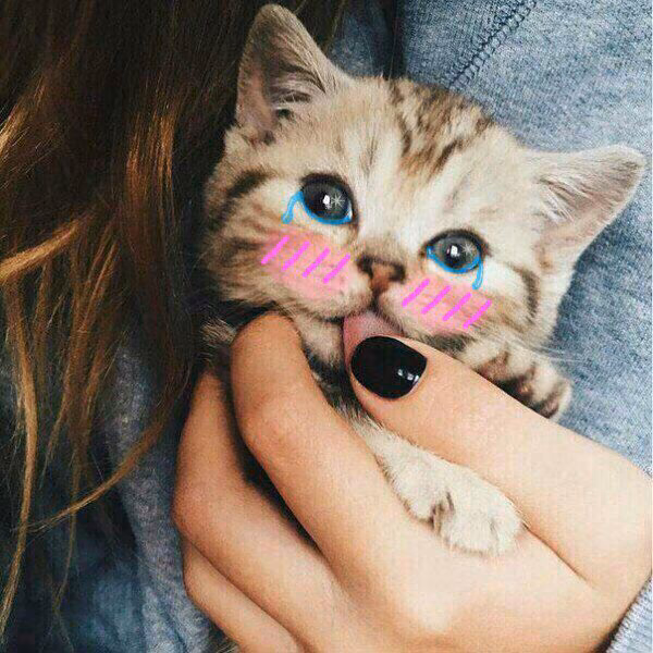 6d23f0efd13dfd1c24fd13190c82bb5c.avif