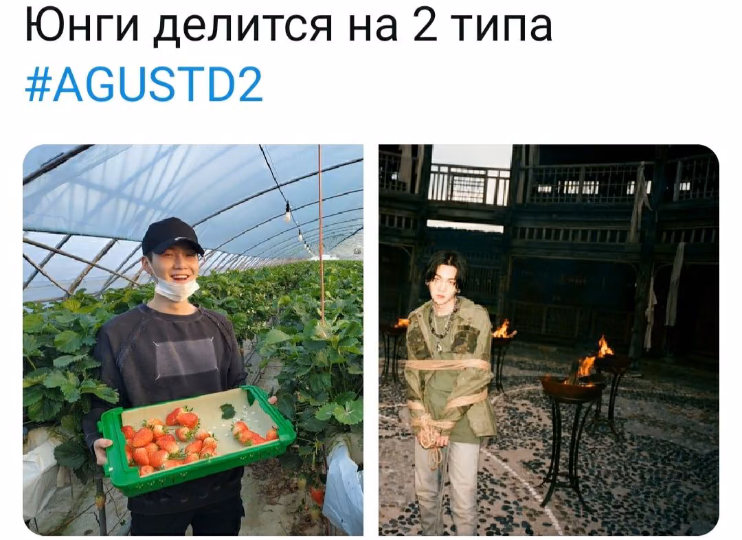 6d2edb82fa4619db3dd32107910eef93.jpg