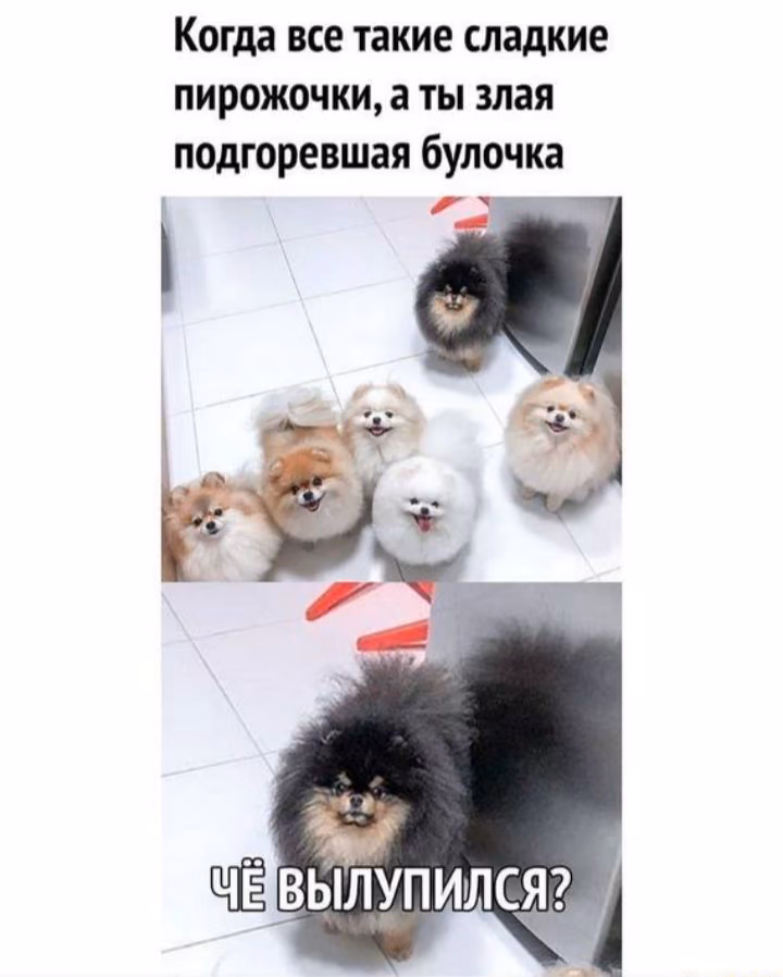 6d361a7b5481c5ab4244aa2b4a80b1b2.jpg