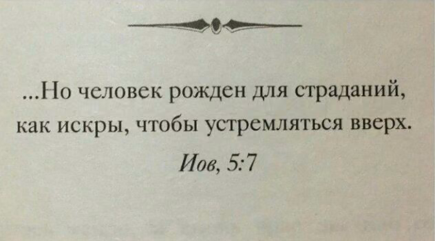 6d3cb46211a27274105f4640e4606206.jpg