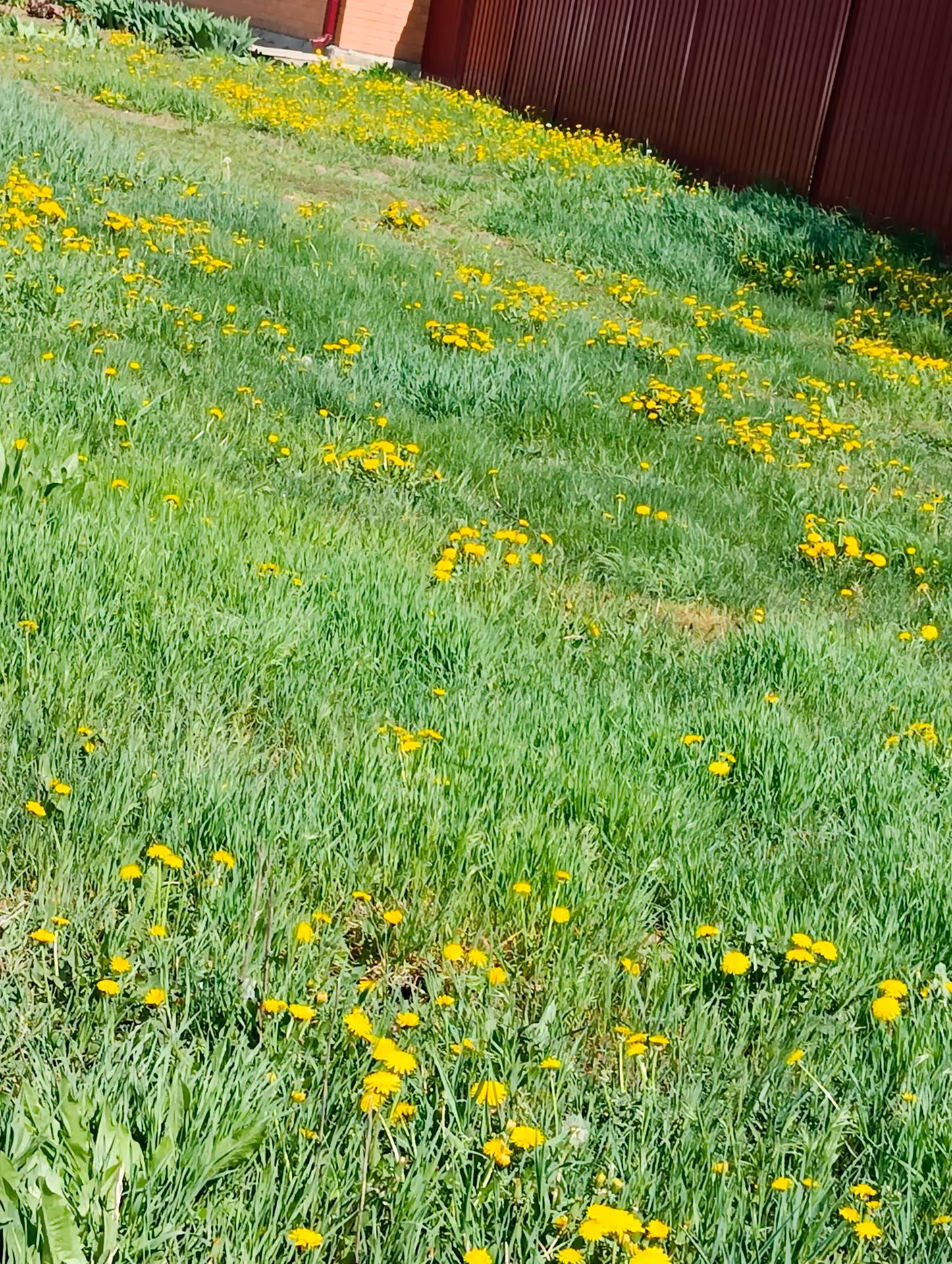 6d489f0f839bc6444105109ad79ec0e3.jpg