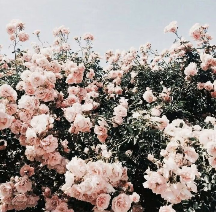 6d48f13b6af29f8c57ec663dde0eb54c.avif