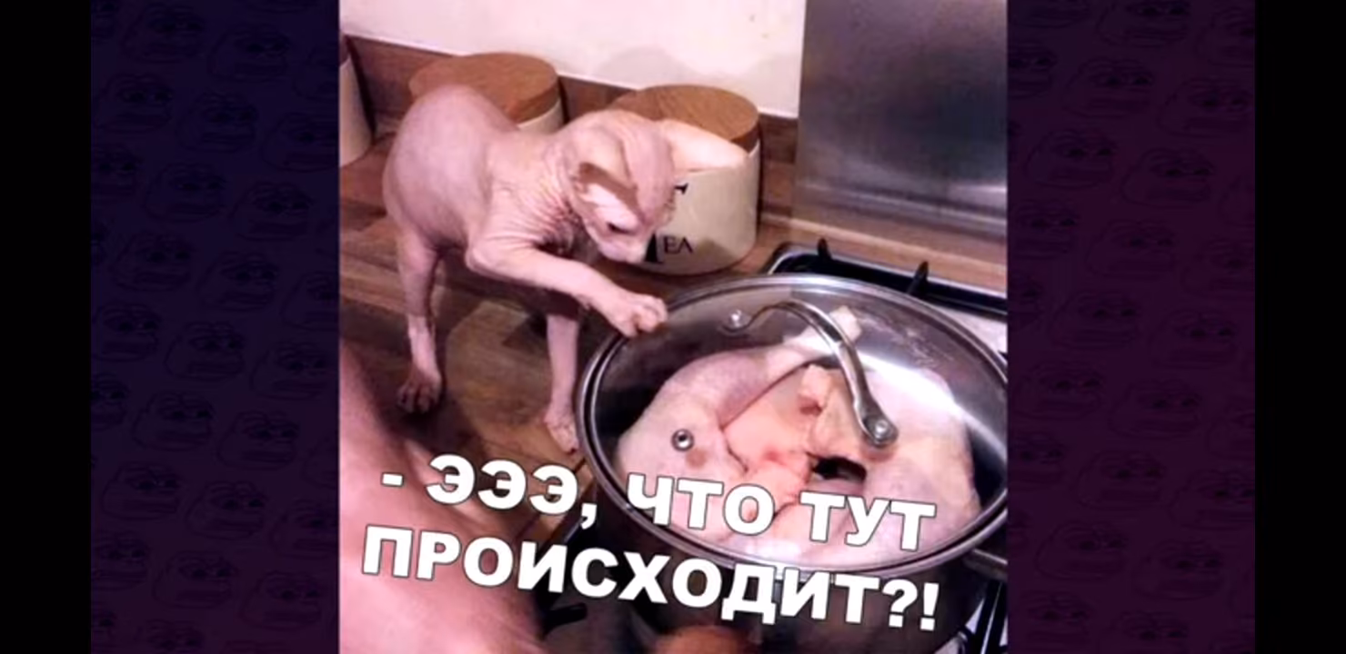 6d4cf55900e69a379ddc0cf21348e41d.avif