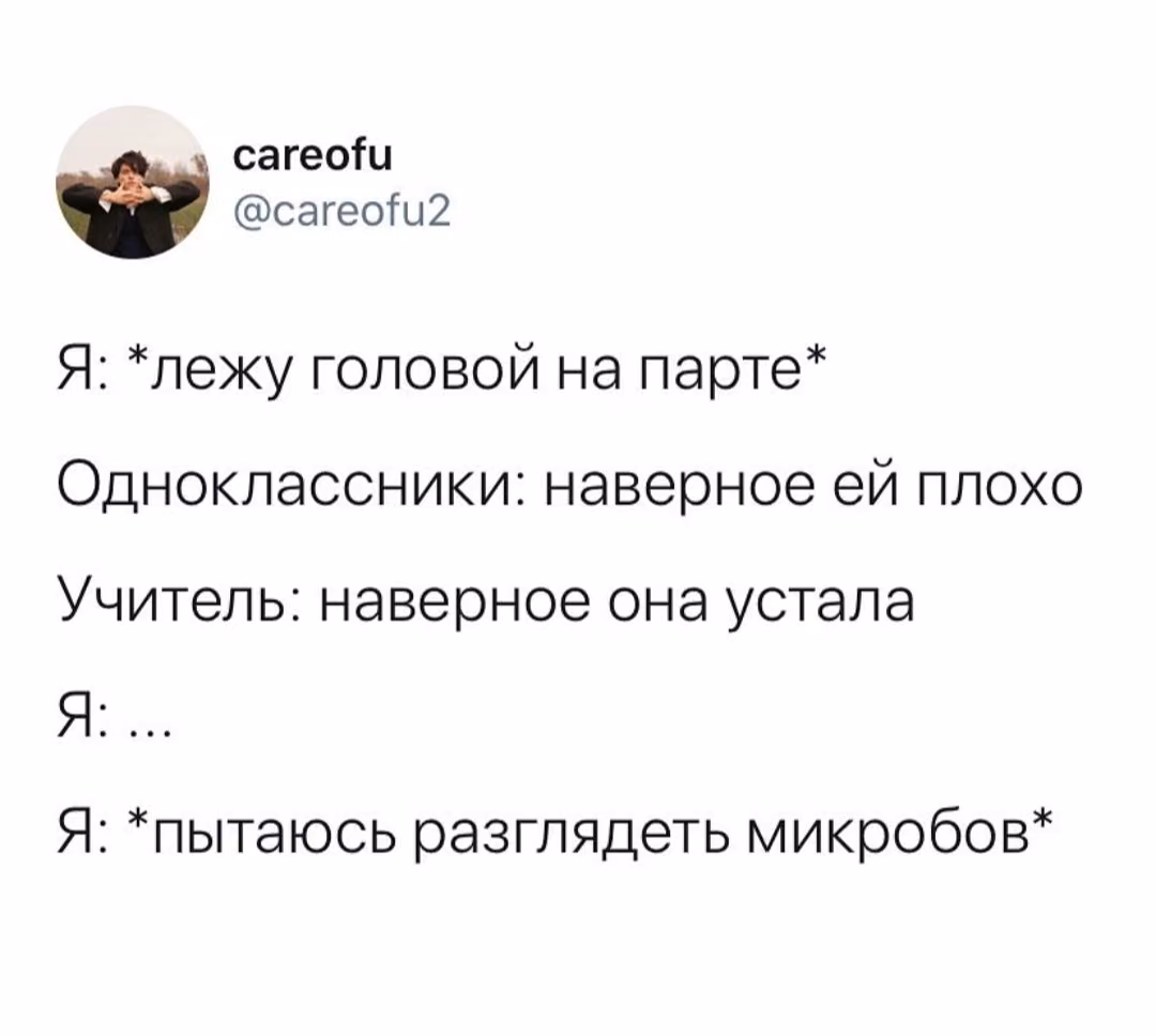 6d55a14e3a4e1753d82034342b1ab7b9.avif