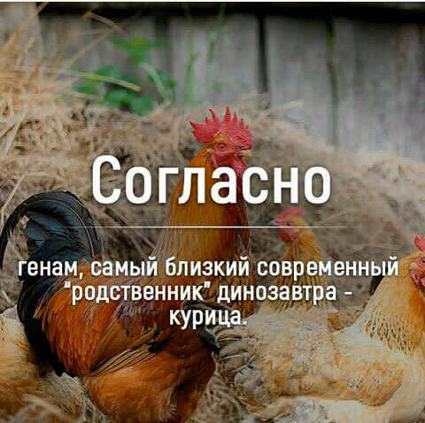 6d55f48ce52a0fca1574f1596865699a.jpg