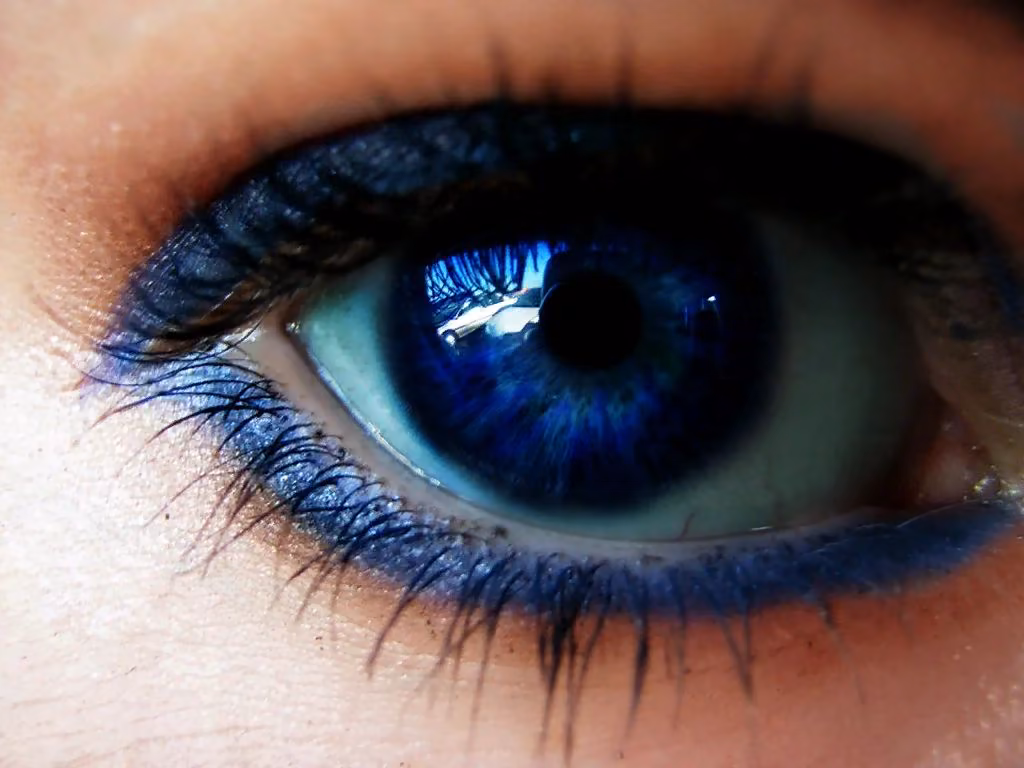 6d56b9ac09182e88b4d89ce4ff74f5a2.jpg