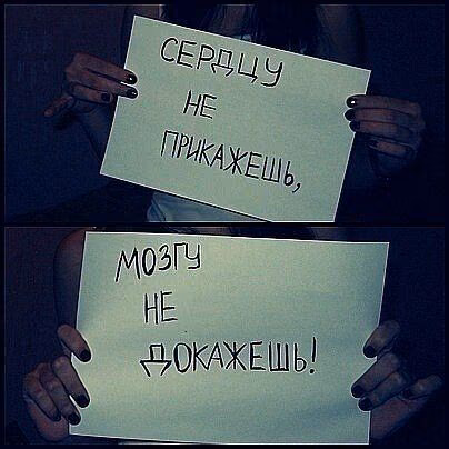 6d5bfe5410718b49be66989098085194.jpg