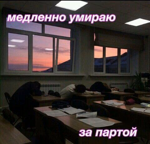 6d61b5a333cf62f85c3c5f4a57965920.jpg