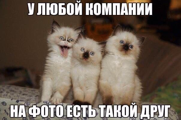 6d62e0bd42e1ea2eeb271f9ce2bac3ff.jpg